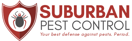 How the pest control affect your family?