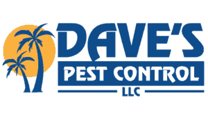 Prepare your pest control plan for the holidays