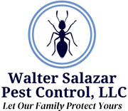Pest Control Enfield: Your Solution to Common Pest Problems