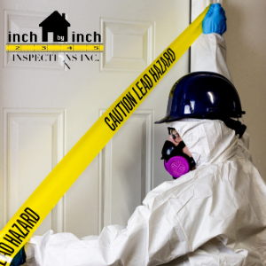 Asbestos Removal: When You Need It and Why