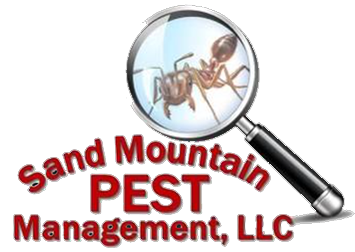 “Say Goodbye to Pests: The Ultimate Guide to Effective Pest Control”